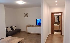Alex'S House